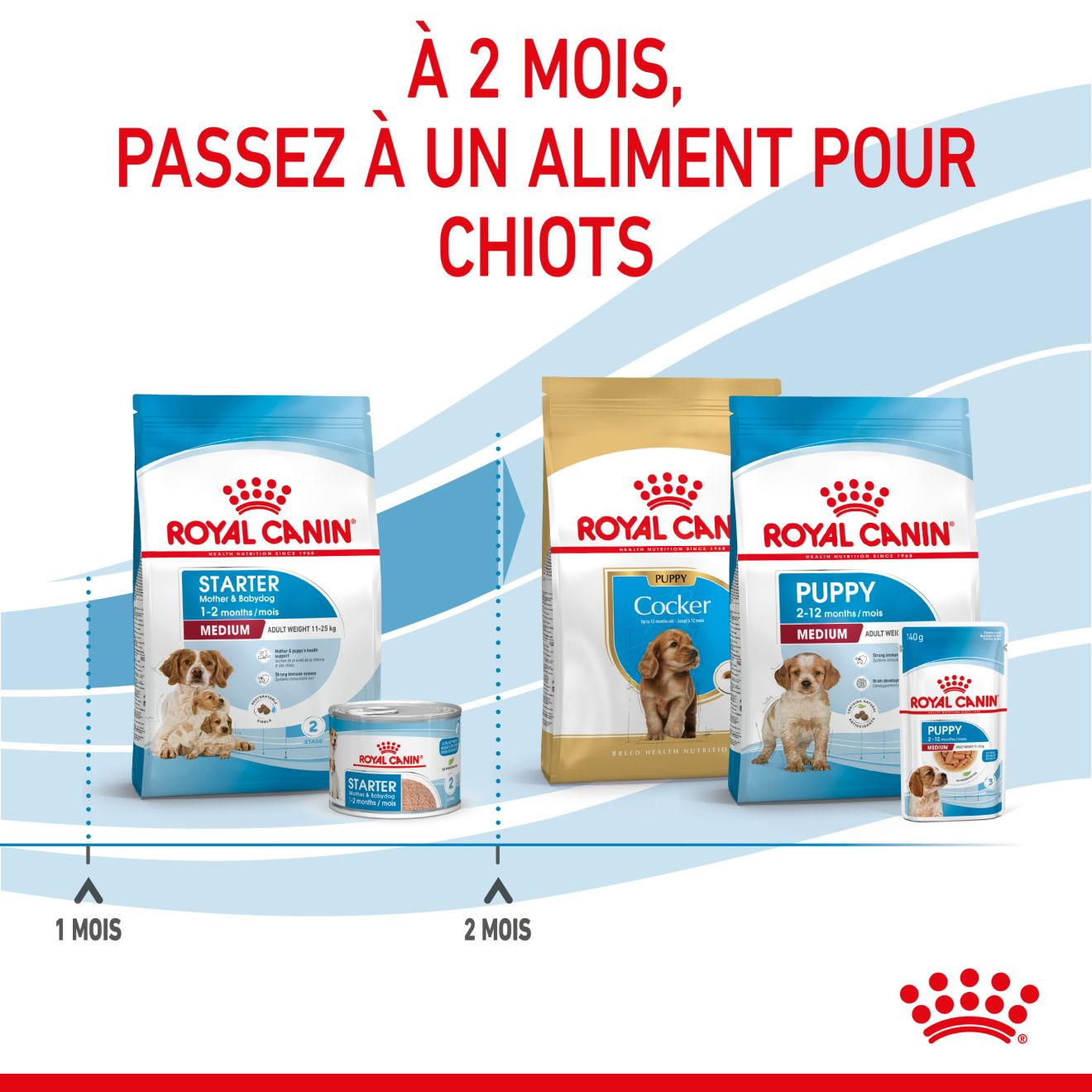 Medium Starter Mother & Babydog pour chiot