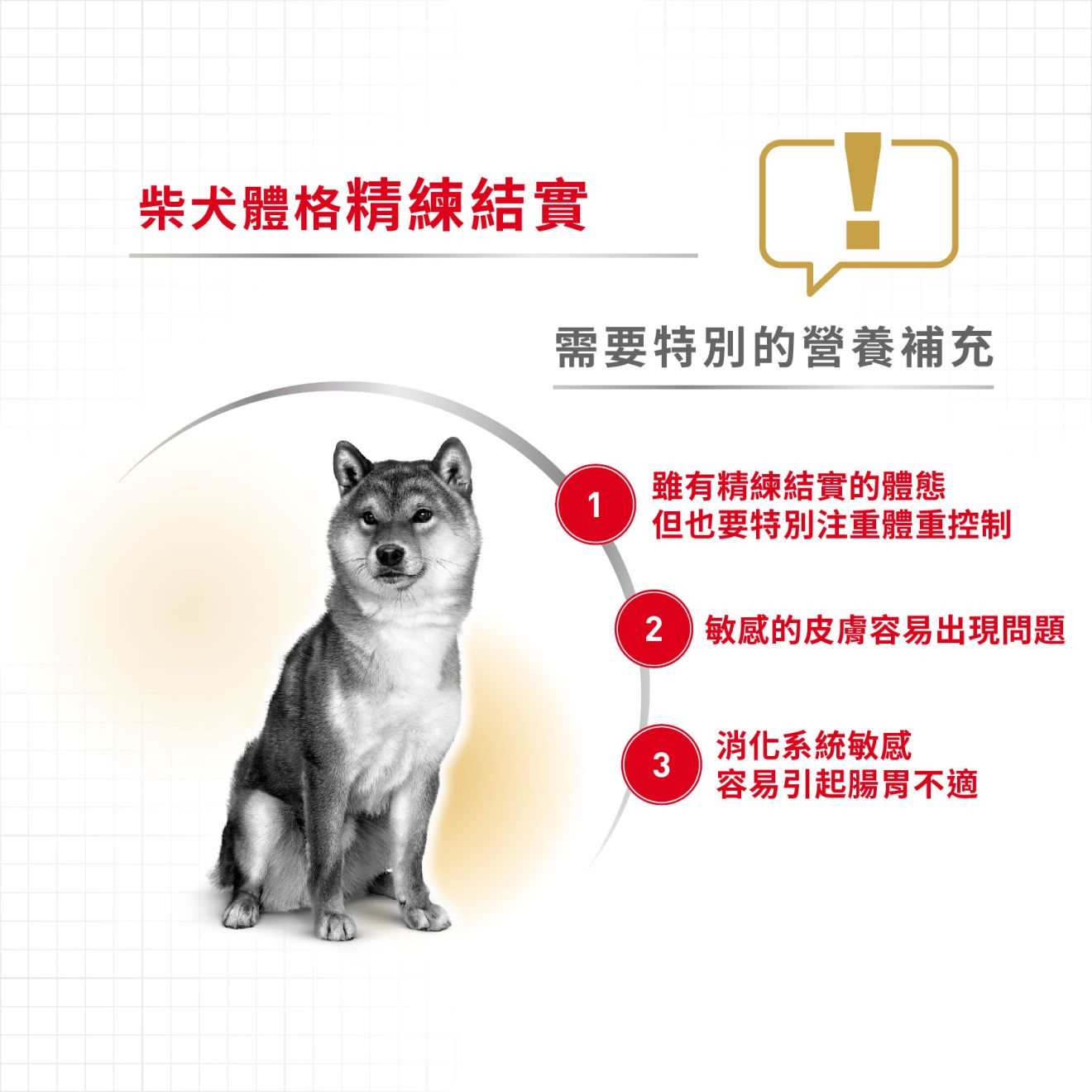 BHN 柴犬成犬專屬配方