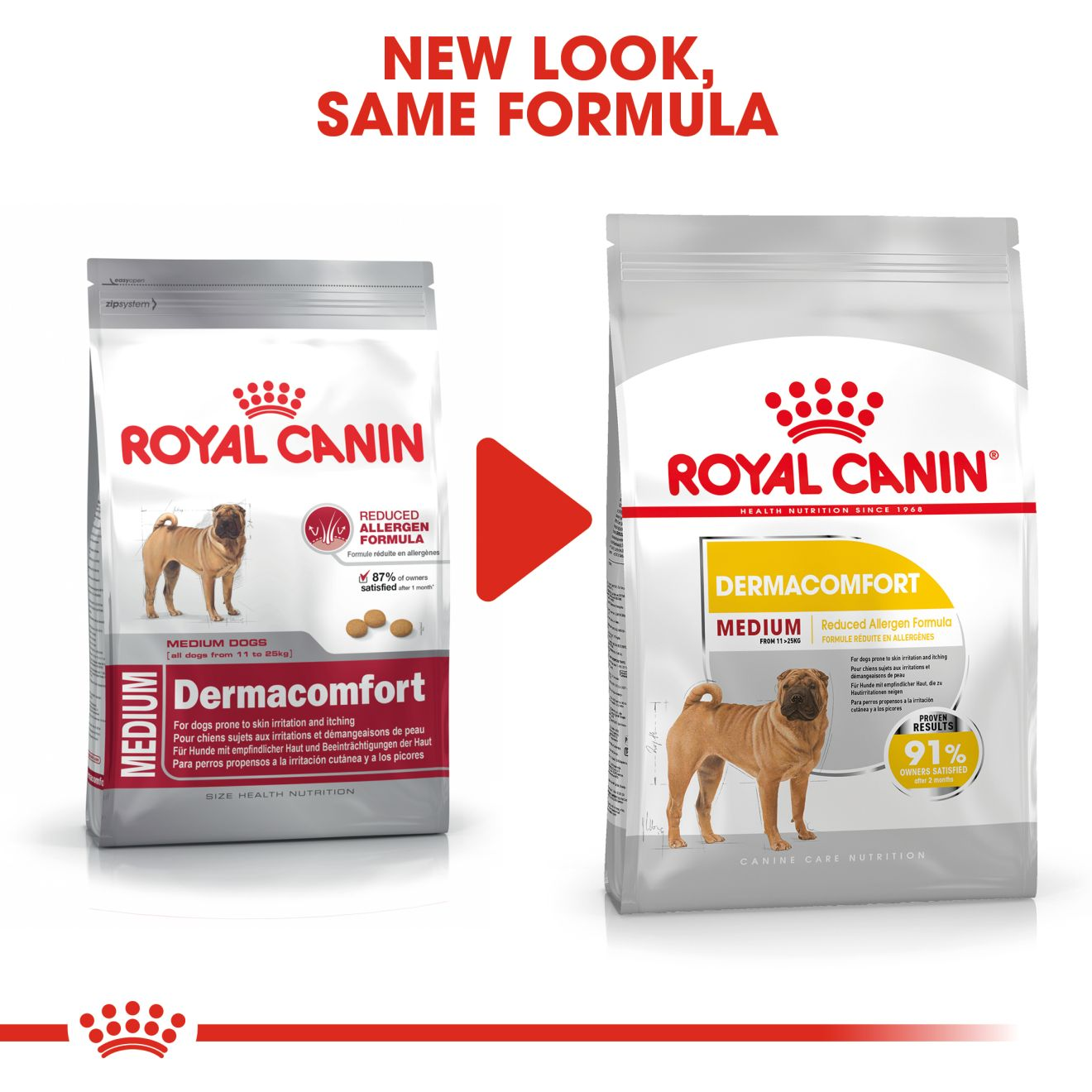 Wordt erger ijsje Latijns Dermacomfort Medium dry | Royal Canin