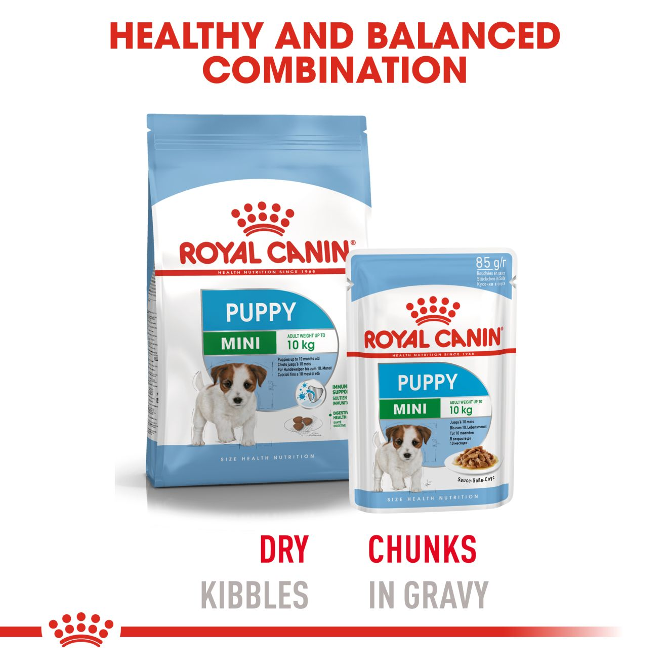 Royal canin medium hot sale puppy wet food