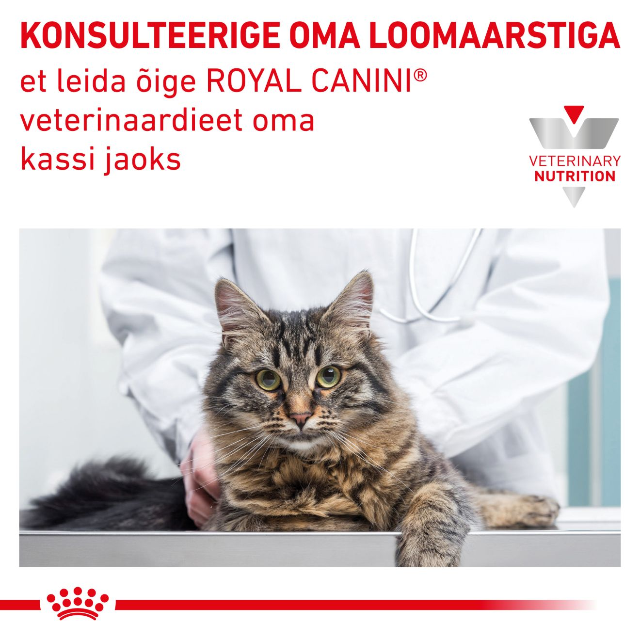 Royal Canin Gastrointestinal Kitten konserv (pehme vaht)