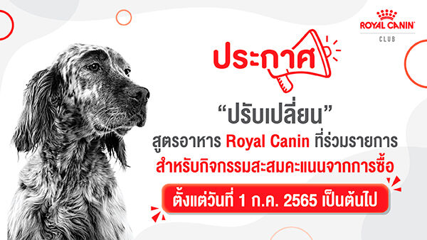 โรยัล คานิน คลับ, Royal Canin Club, POP, Point on purchase