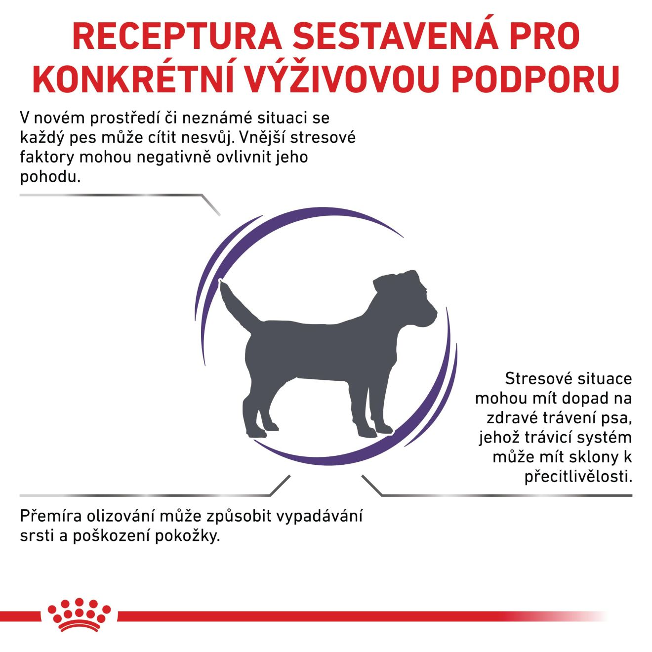 VHN Calm small dog