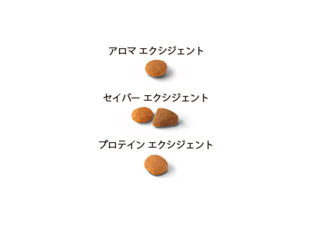 エクシジェント トライアルセット