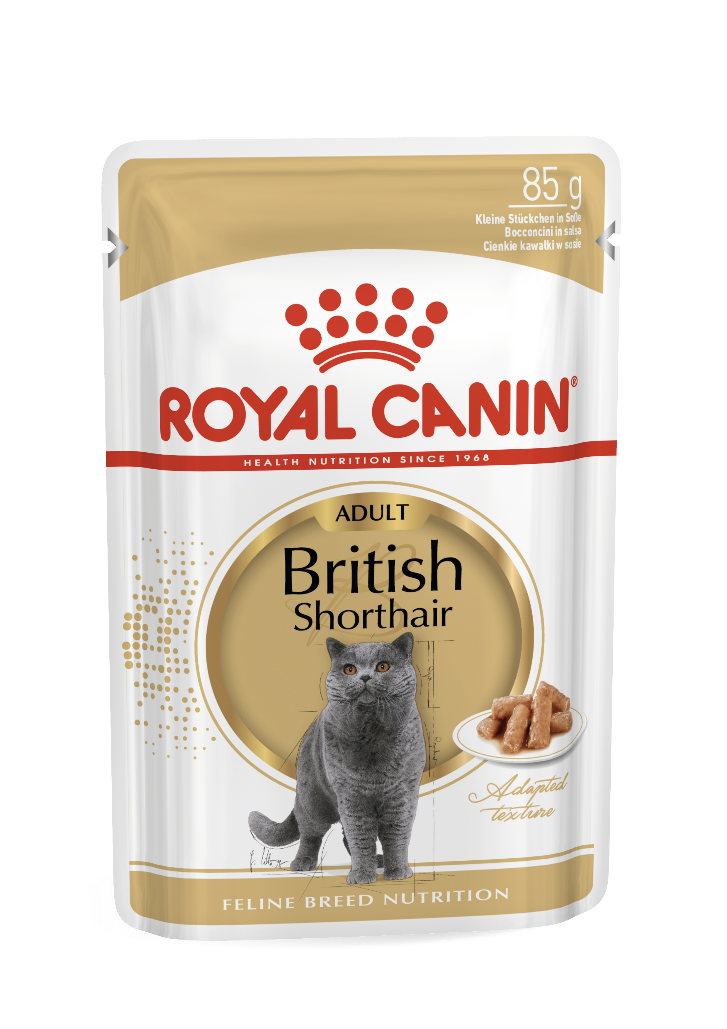 British Shorthair Basah Royal Canin