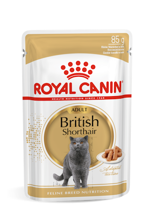 Royal Canin British Shorthair konserv (õhukesed viilud kastmes)