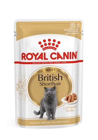 ROYAL CANIN  British Shorthair Gravy kapsička v omáčke pre dospelé britské krátkosrsté mačky