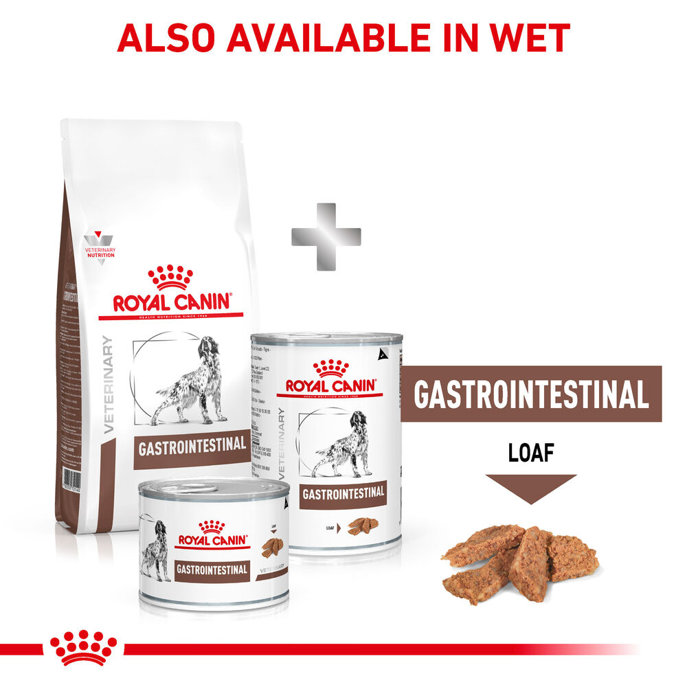 Gastrointestinal