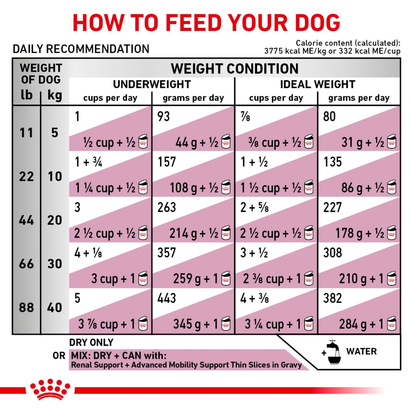 Canine Renal Support Advanced Mobility Support Royal Canin US