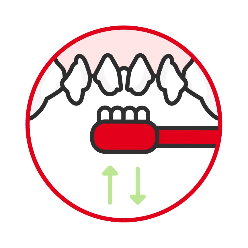 Illustration of a toothbrush moving up and down