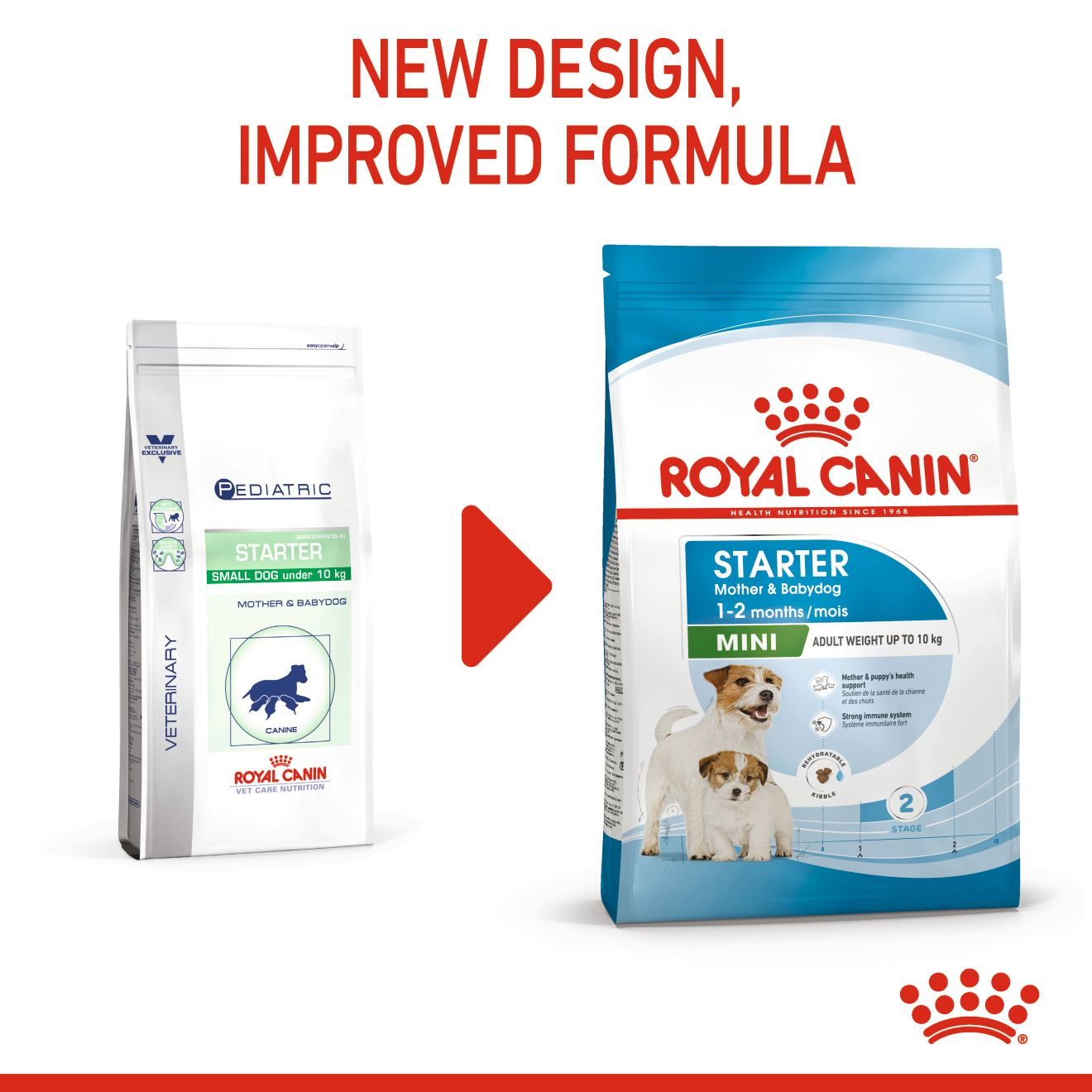 Royal canin pediatric 2025 starter small dog