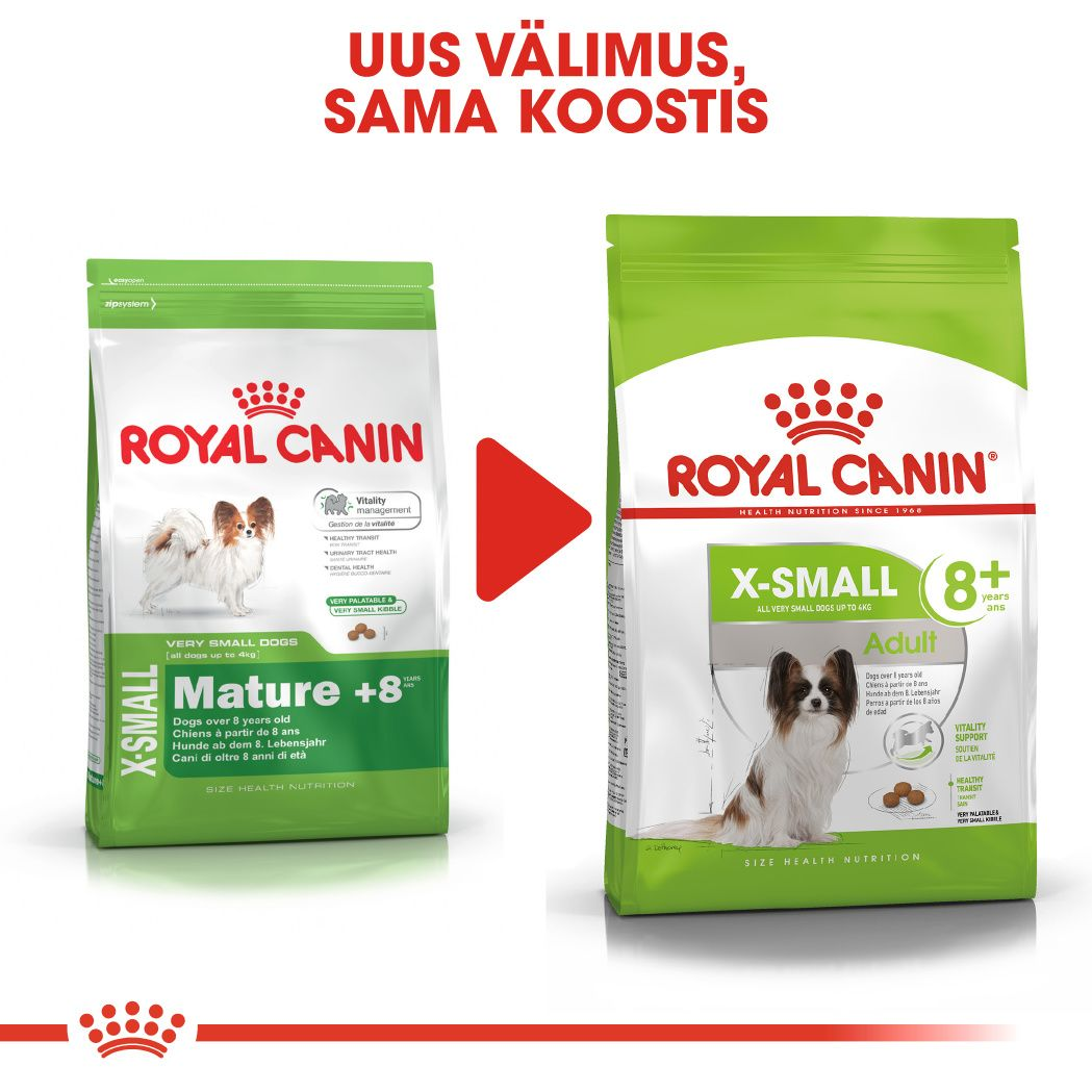 Royal Canin X-Small Adult 8+ kuivtoit