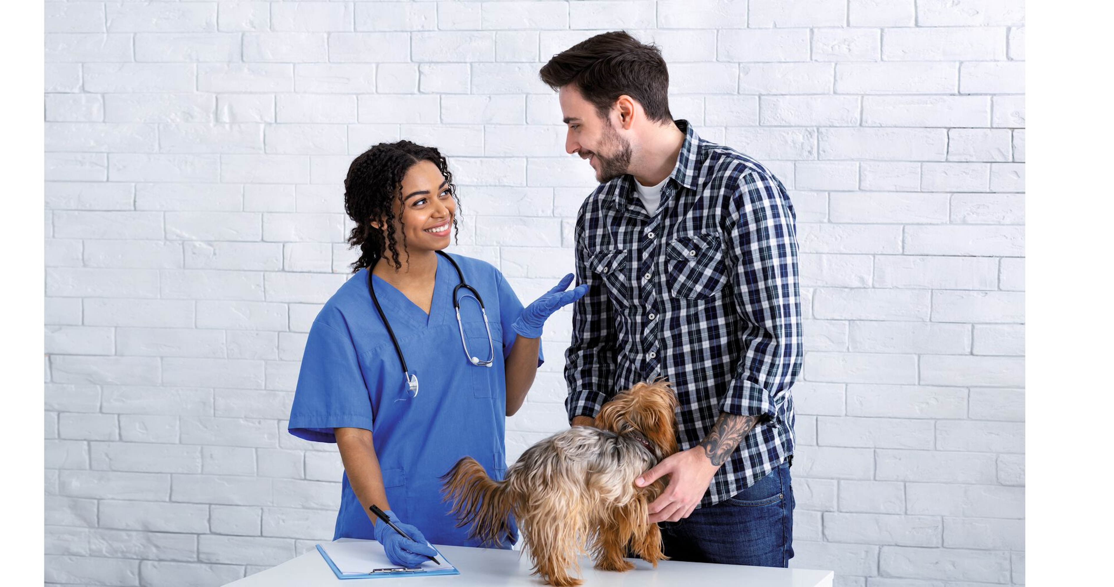 A pet owner expects their veterinary clinic to make individual recommendations for their pet’s diet – so the whole team must know how to approach this topic.