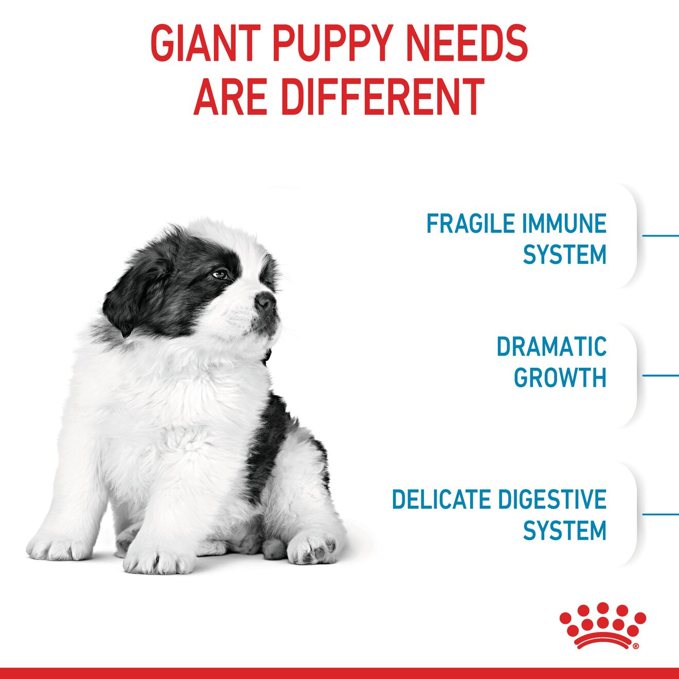 Puppy giant sale