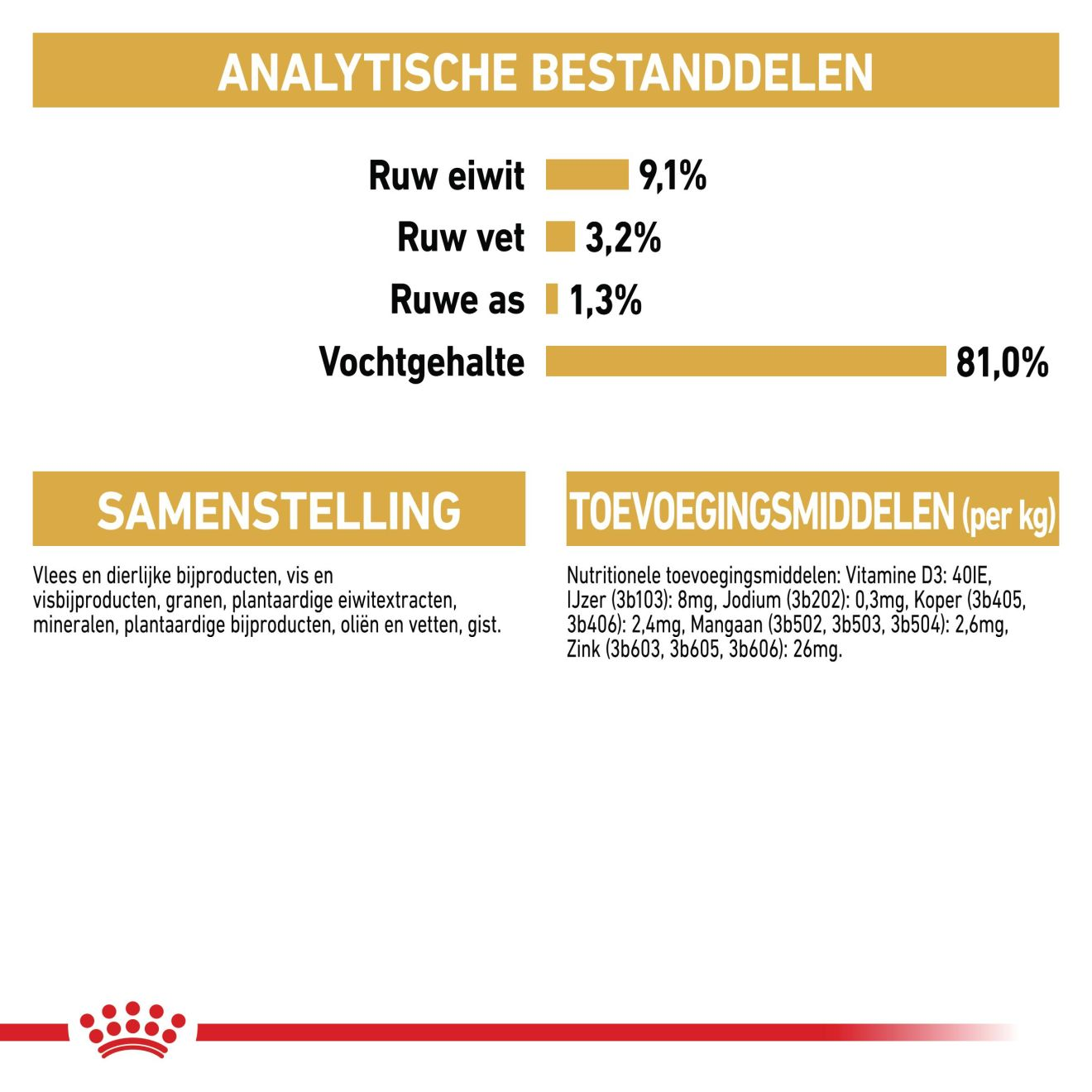British Shorthair Wet