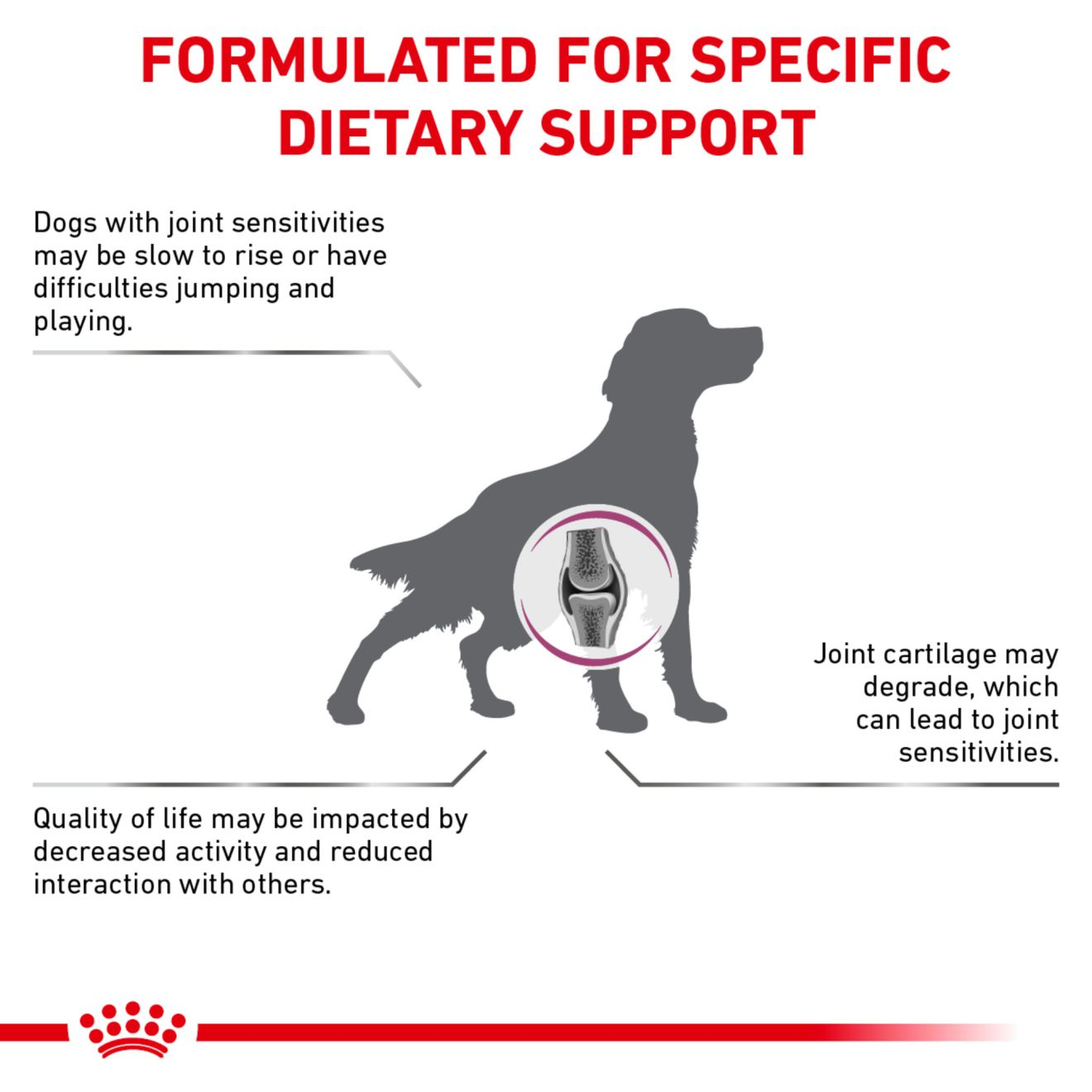 Mobility dog food royal canin hotsell