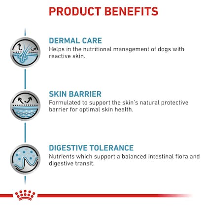 RC-VET-DRY-DogSkinCare-B1_Page_3