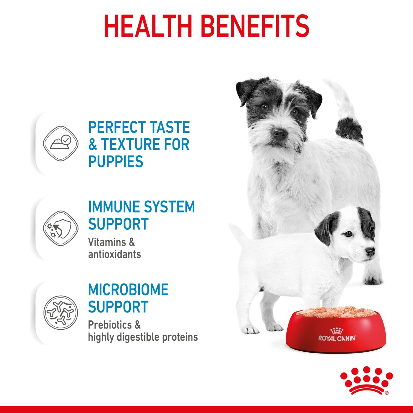 Royal canin dog outlet food starter mousse