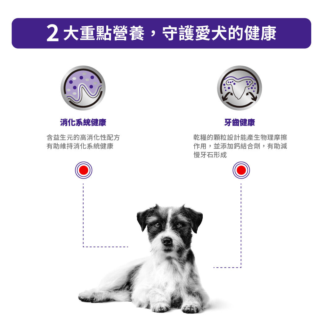 小型成犬健康管理配方
