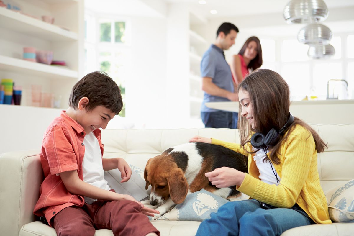 Figure 1. La plupart des enfants interagissent instinctivement avec les animaux de manière positive et éprouvent beaucoup de plaisir à jouer avec eux. © Shutterstock