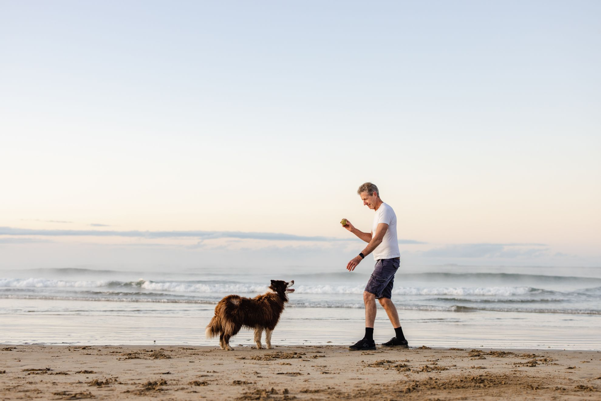 Why Dogs Need Exercise ✔️ Importance & Benefits