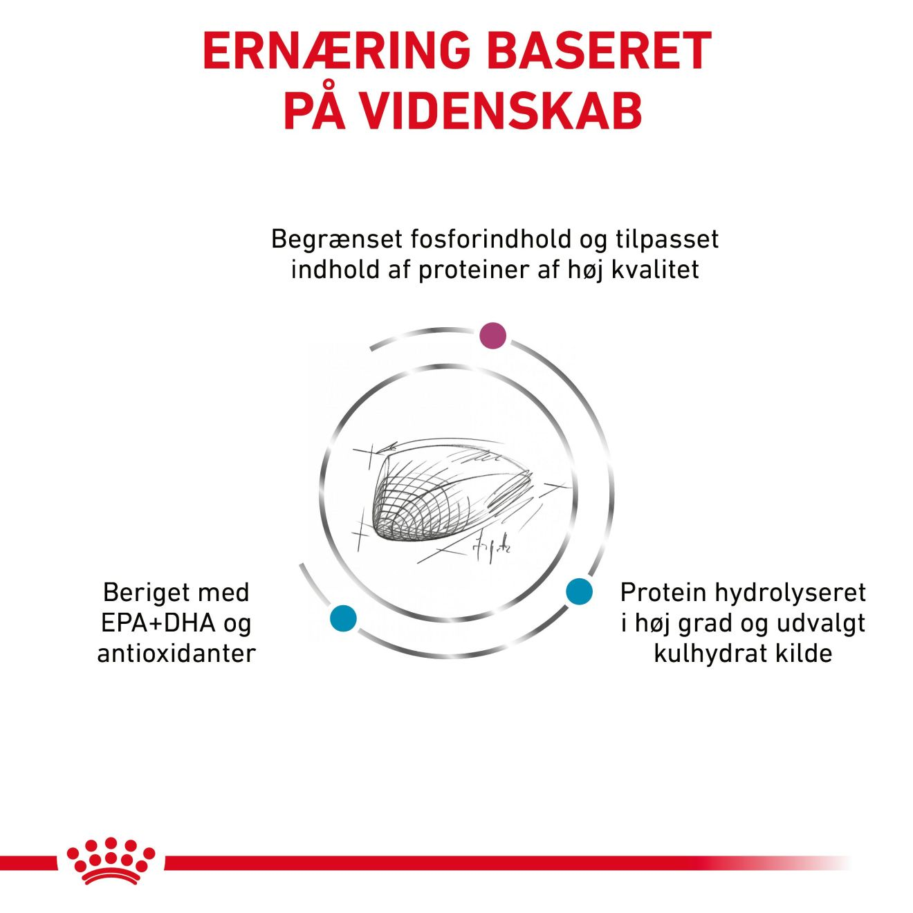 Derma Hypoallergenic