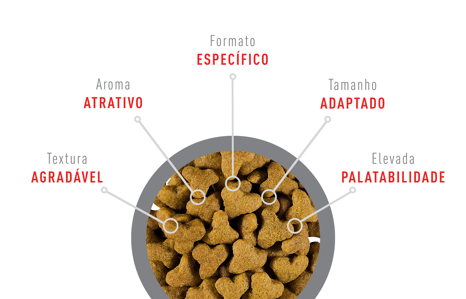 Diagram of kibble demonstrating texture, aroma, shape, size, flavours