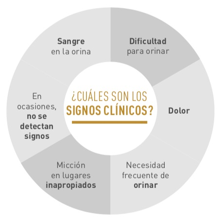 Content Block With Text And Image 1