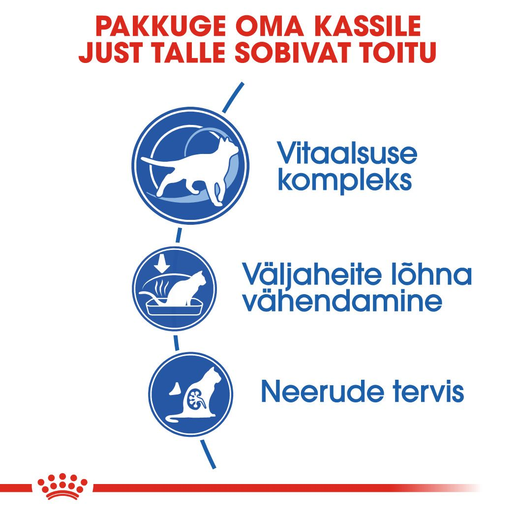 Royal Canin Indoor 7+ kuivtoit