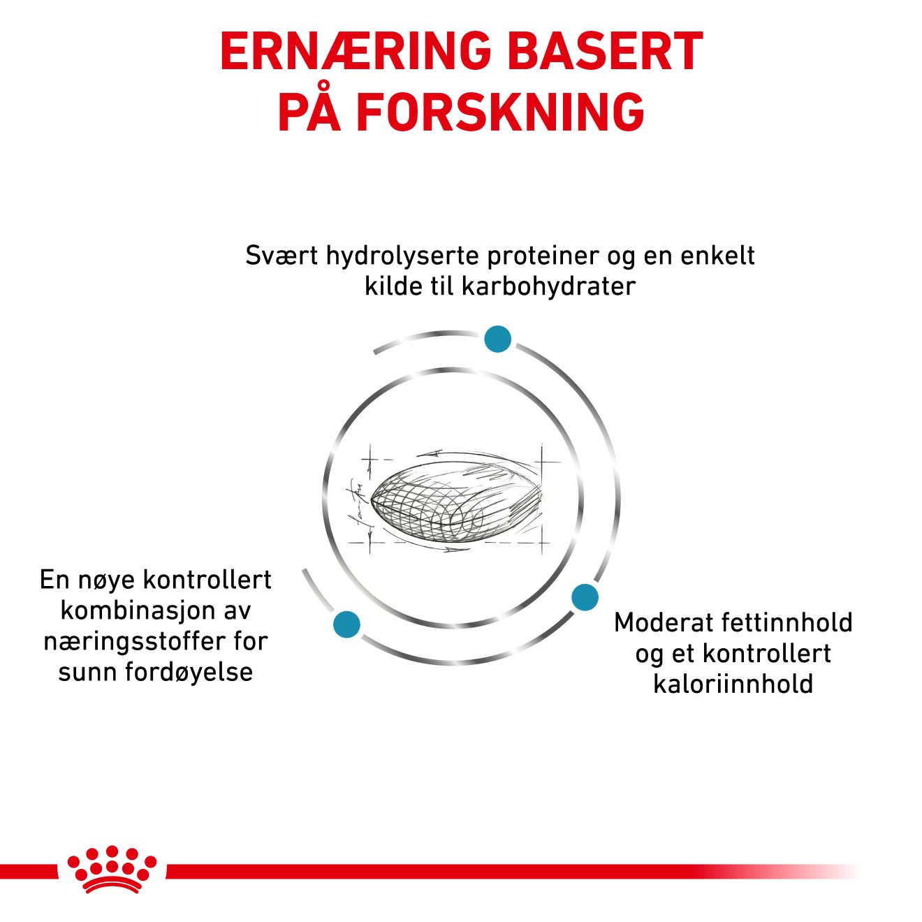 Derma Hypoallergenic Moderate Calorie