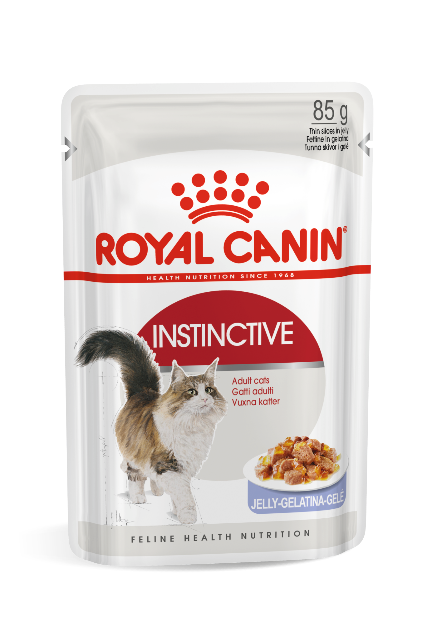 Royal canin british outlet shorthair wet food