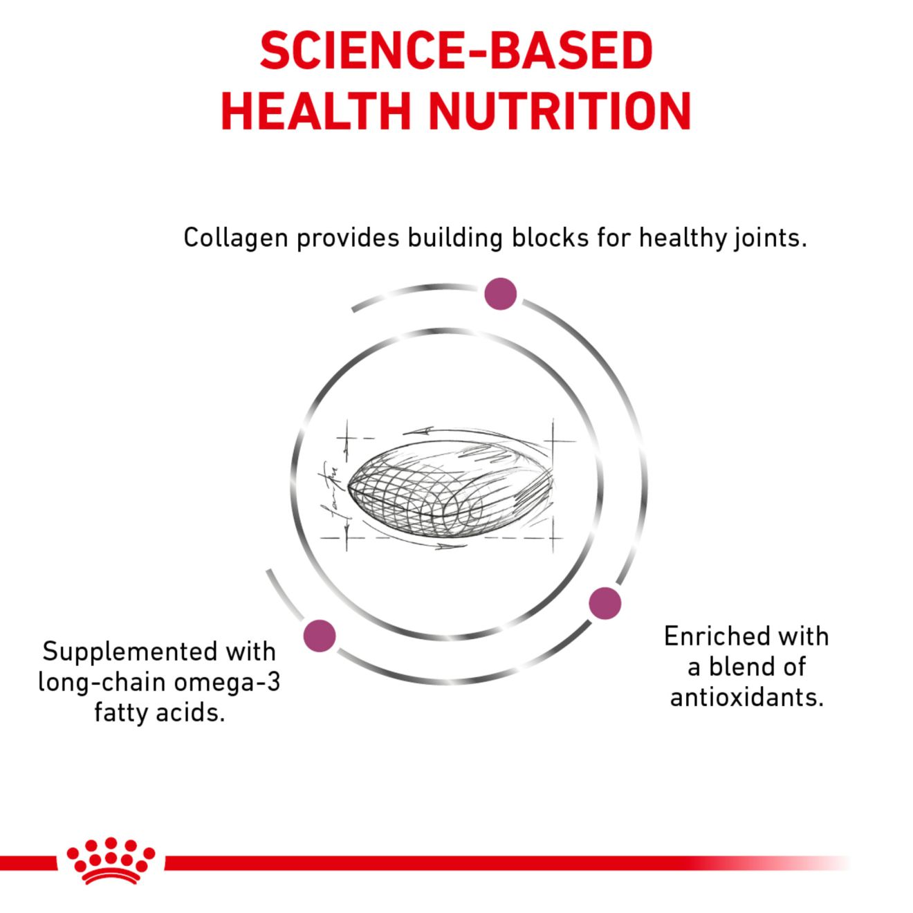 Royal canin advanced cheap mobility support