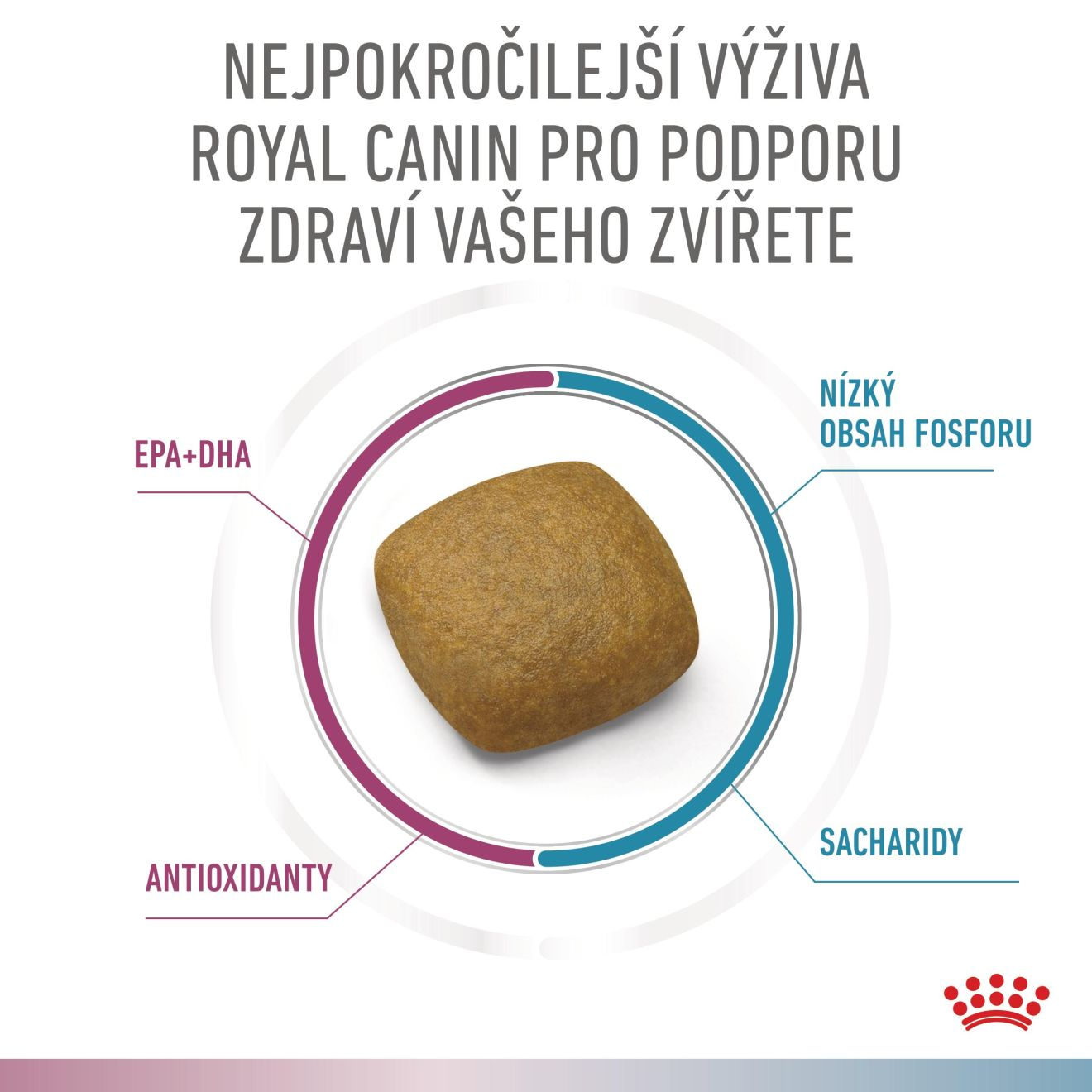 VHN Cat CA Renal-Hypoallergenic