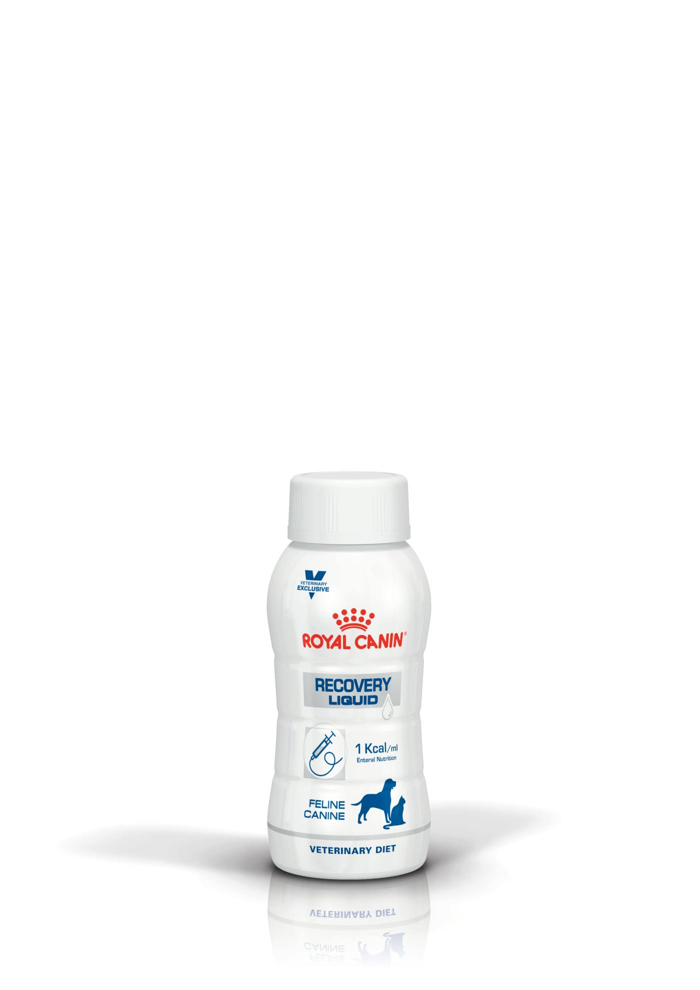 Royal Canin Pack 12 Recovery Canine & Feline