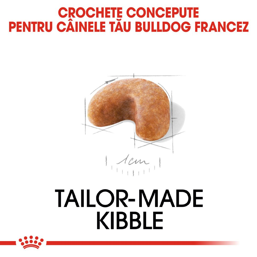 French Bulldog Puppy