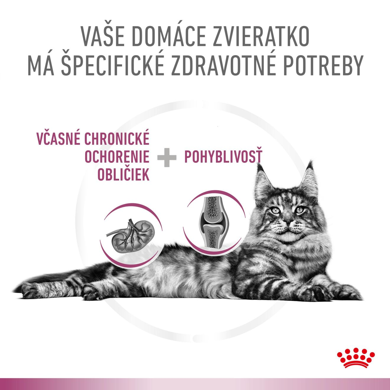 VHN Cat CA Early Renal - Mobility