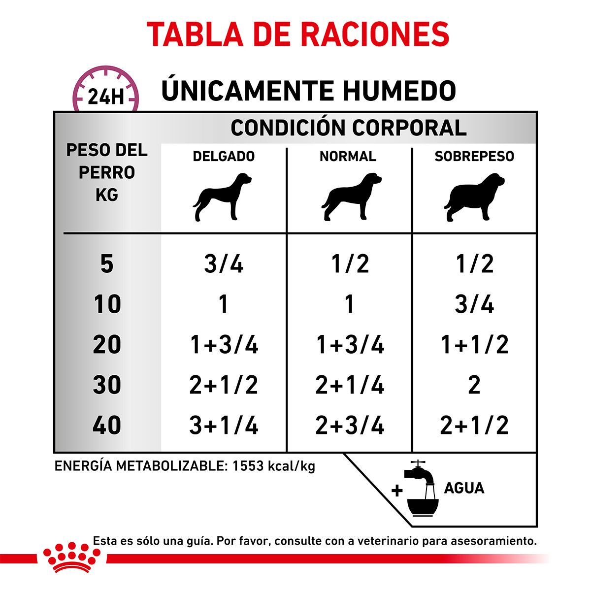 Renal Support E Canine lata