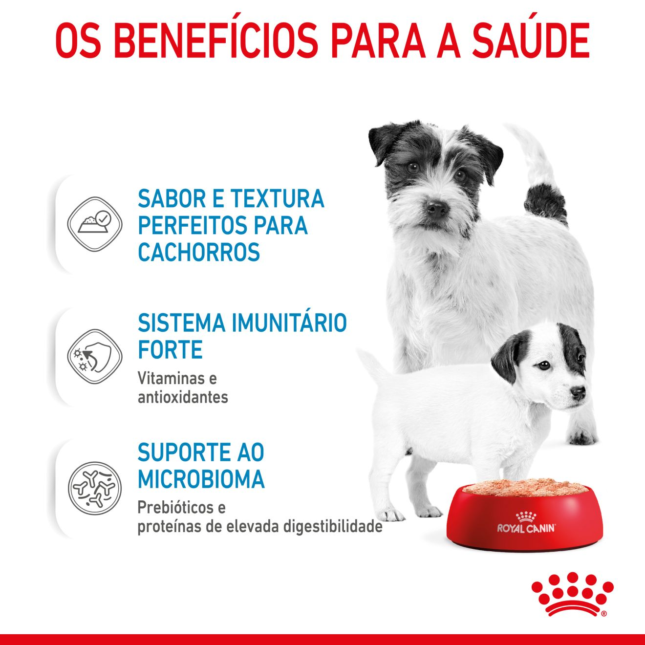 STARTER Mother & Babydog – Ultra soft mousse