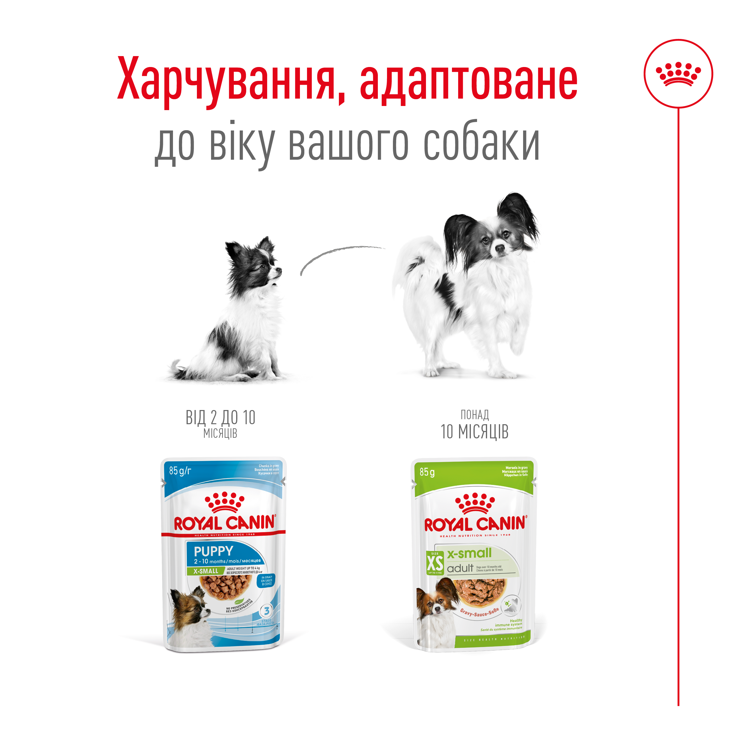 Royal Canin UA