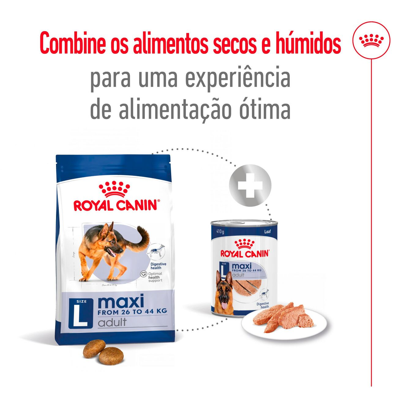 Maxi Adult