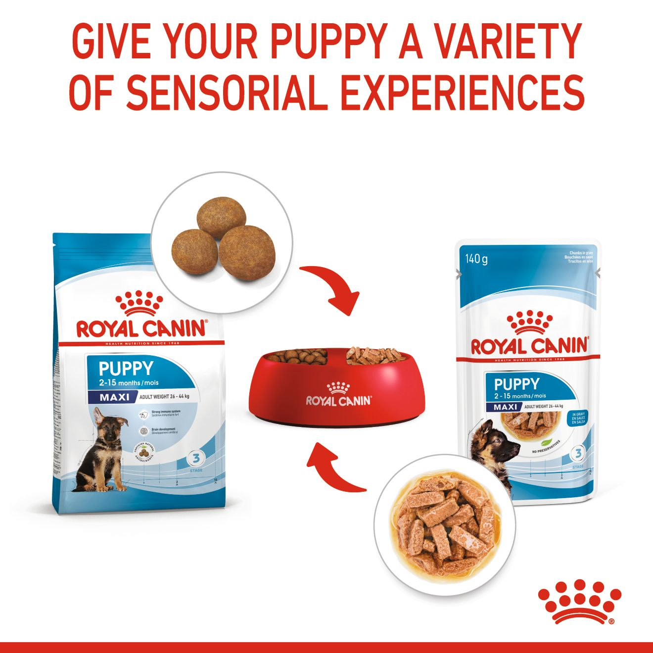 Large Puppy Pouch Dog Food chunks in gravy | Royal Canin US