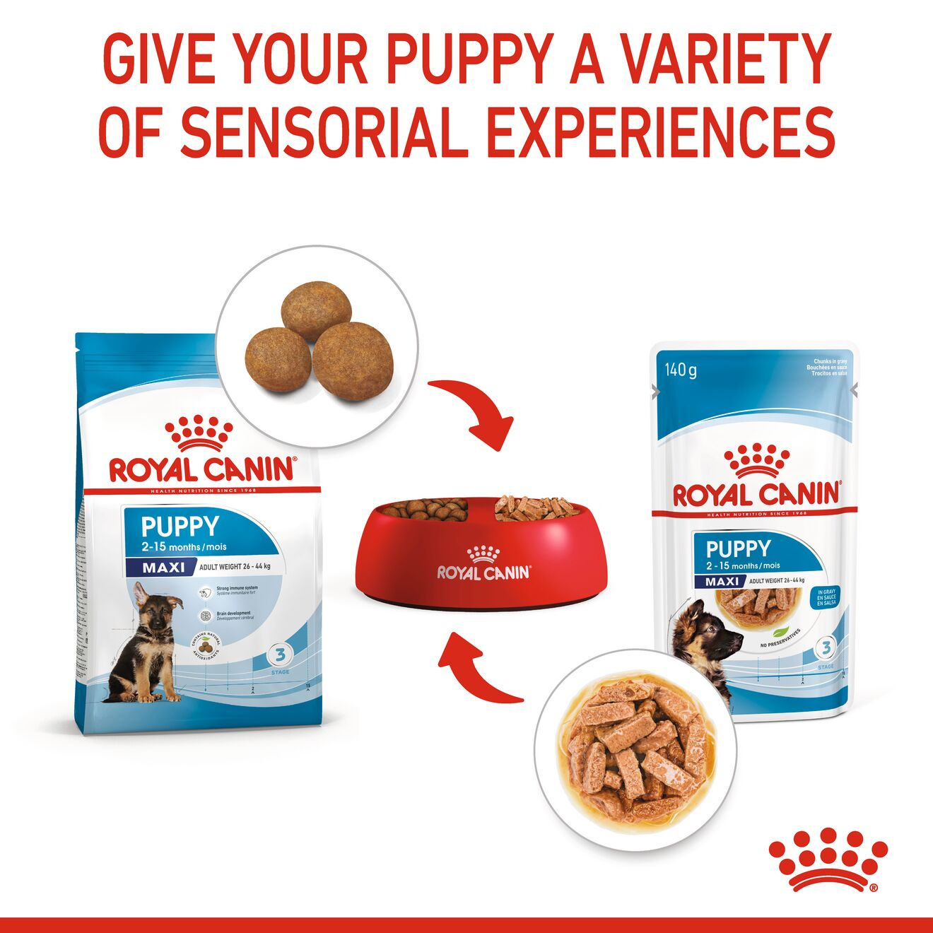 Royal canin puppy food large cheap breed