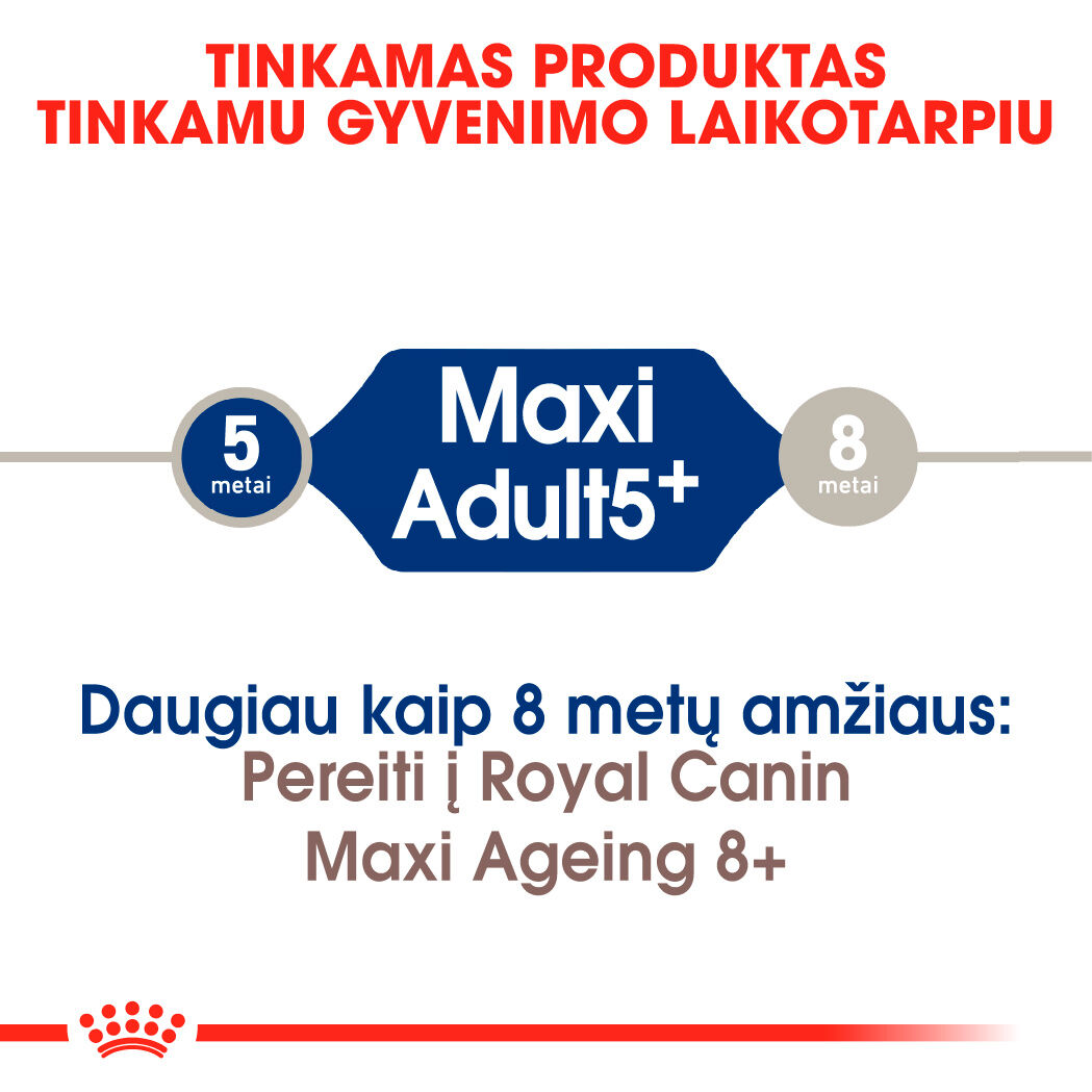 Maxi Adult 5+