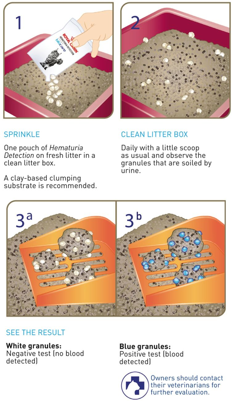 The instructions for using the product are straightforward.