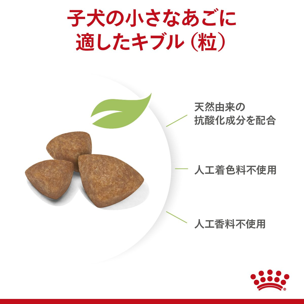 ロイヤルカナン　エクストラスモールパピー　超小型犬の子犬用　3Kg✖️3個 ロイヤルカナン エクストラスモール パピー 3kg×3袋 子犬用
