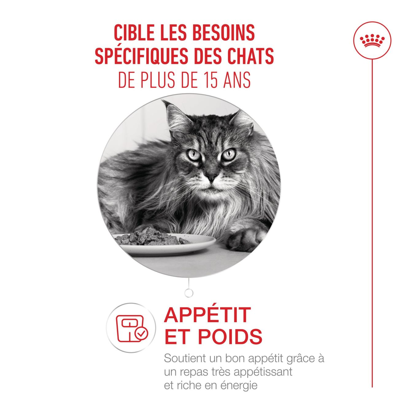 Ageing 15+ Gravy (émincés en sauce)