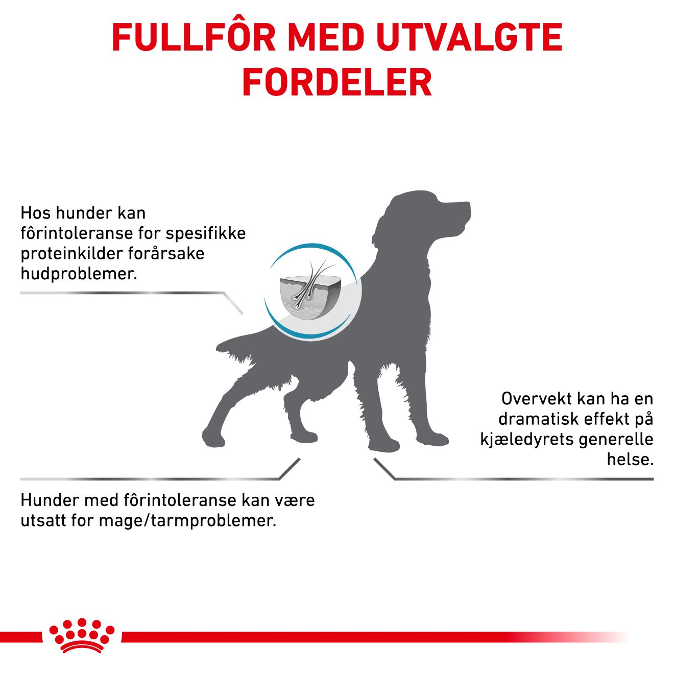 Derma Hypoallergenic Moderate Calorie