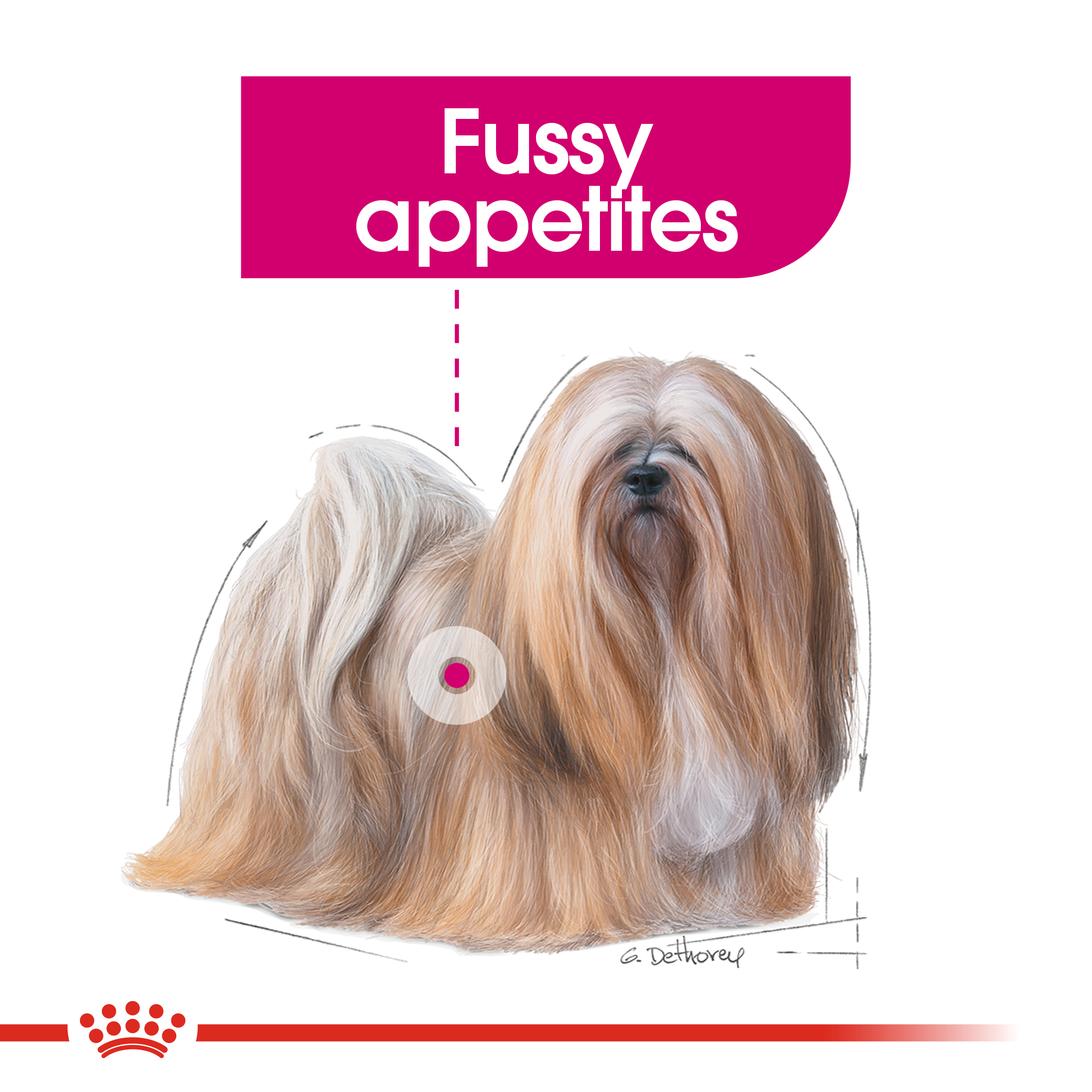 royal canin exigent small dogs