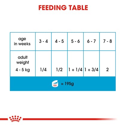 Royal canin starter cheap mousse feeding guide