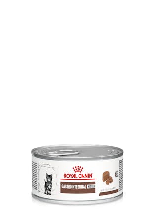Gastro-Intestinal High Energy Feline lata